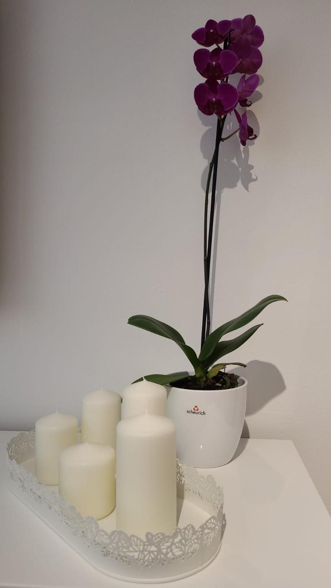 Luksuzni Stan U Starom Gradu Apartment *